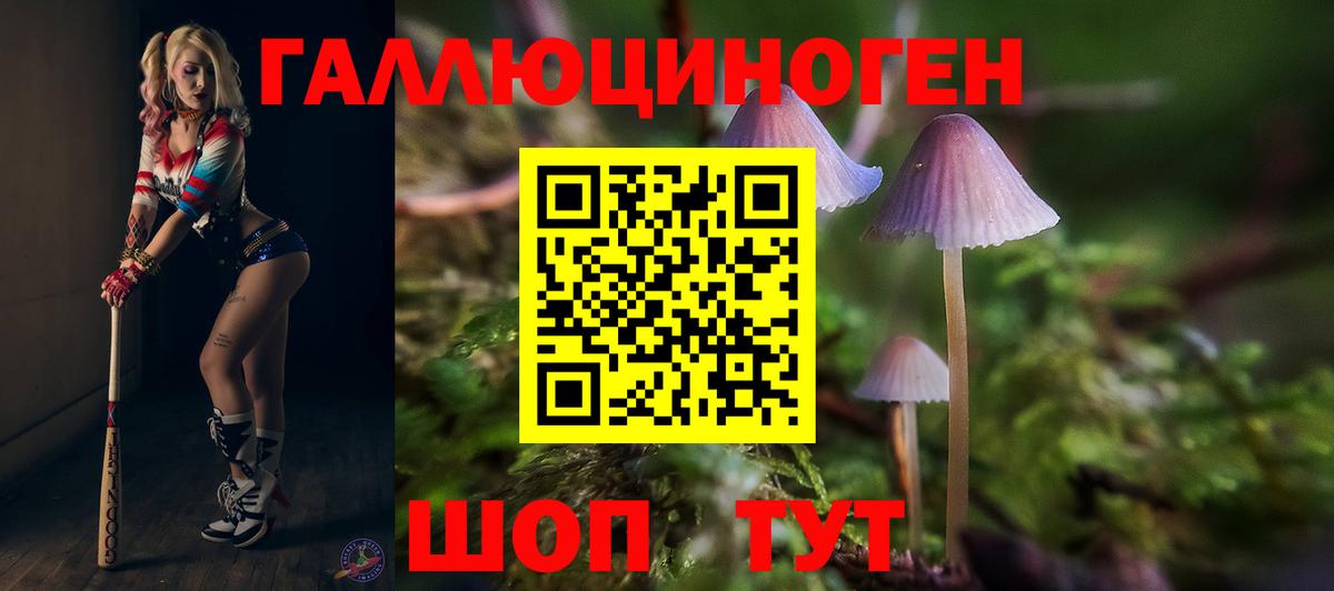 где можно купить наркотик  Вход с VPN  Клин  Галлюциногенные грибы мухоморы 